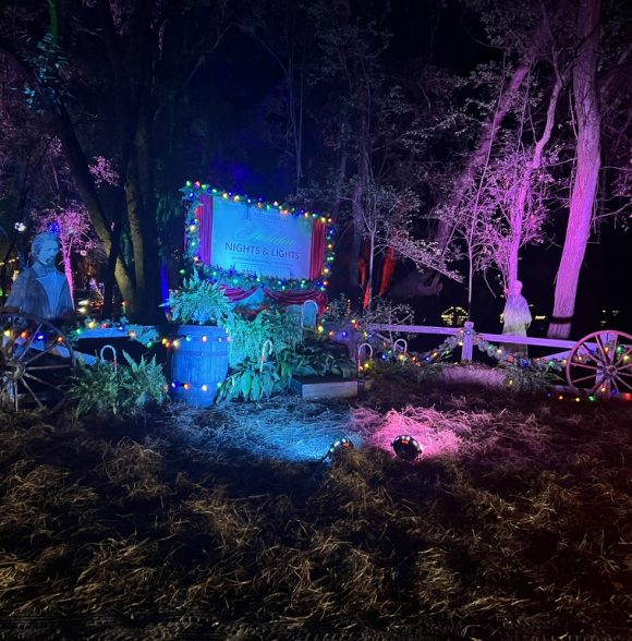 Holiday Nights and Lights