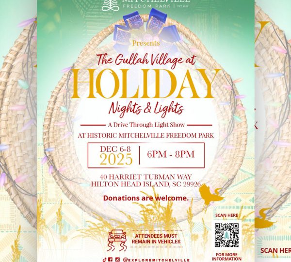 Holiday Nights and Lights